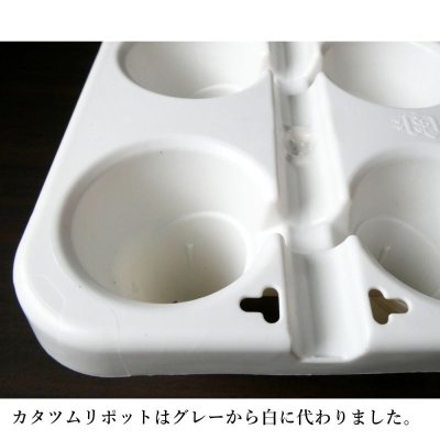 画像2: [品薄・7月中旬以降の出荷]イチゴ育苗用トレイ カタツムリポット C24穴プラス【10枚セット】【陸送地域のみ】【日祭日の配送および時間指定不可】