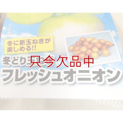 冬どりフレッシュオニオン