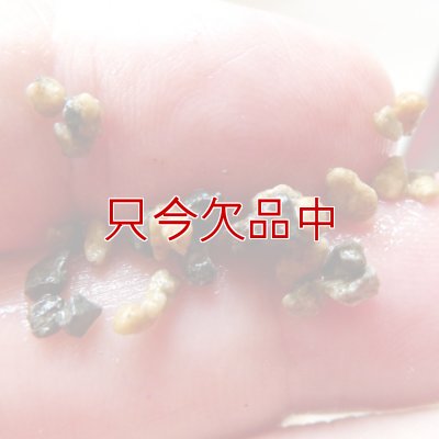 ひゅうが土-【細粒・18L】無菌ボラ土｜理想的な園芸用土｜永田農法に最適