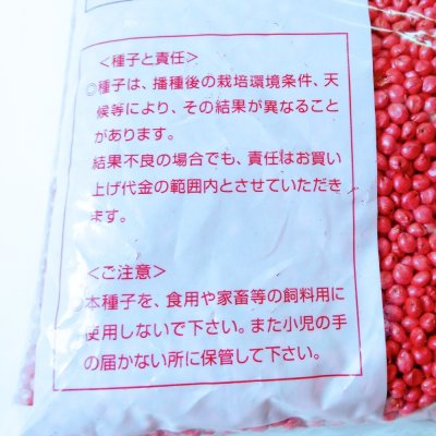 ターザン【1kg】ソルガム類|ソルゴー型ソルゴー