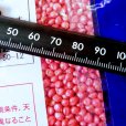 ターザン【1kg】ソルガム類｜ソルゴー型ソルゴー