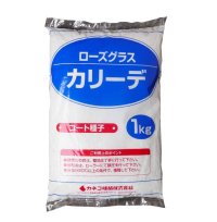 [値下げ][品薄]暖地型牧草【牧草種子】ローズグラス｜カリーデ【コート種子】4倍体｜晩生種【1kg】カネコ種苗製