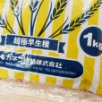 画像2: 【新発売】【緑肥種子】ライムギ｜カールトライ【1kg】【緑肥用】【低温伸張性】【超極早生種】【防風】【障壁】カネコ種苗製 (2)
