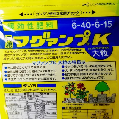 マグァンプK【大粒】