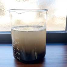 詳細写真1: 富士砂【2L】（溶岩石、スコリヤ、火山灰土・火山礫）アクアリウムにも最適