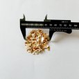 純正・カニガラフレーク【20kg】