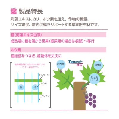 テカミンブリックスTecamin Brix|果実成熟期の糖度上昇に