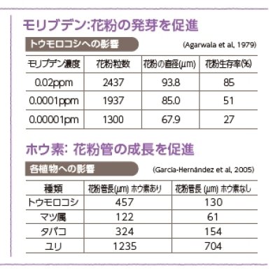 テカミンFlower【1L/1.2kg】TecaminFlower｜花芽の充実に