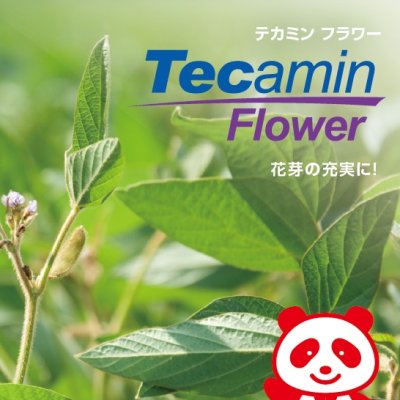 テカミンFlower【1L/1.2kg】TecaminFlower｜花芽の充実に