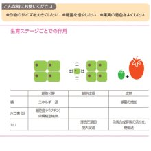 詳細写真2: 果実成熟期の糖度上昇に｜テカミンブリックス【5L/6.5kg】Tecamin Brix｜｜味の素