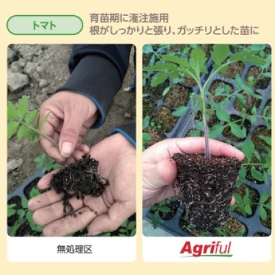 アグリフル【5L / 6kg】AGRIFUL