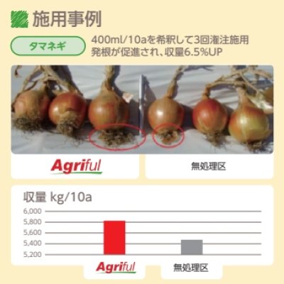 アグリフル【5L / 6kg】AGRIFUL