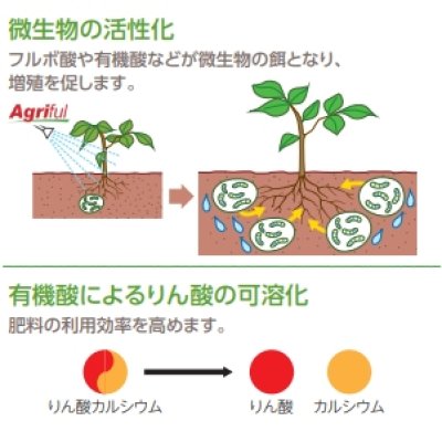 アグリフル【5L / 6kg】AGRIFUL