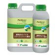 ファーティグレインフォリアー