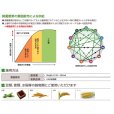 ファーティグレインフォリアー
