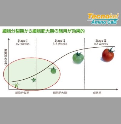 テクノケルアミノCaB|味の素