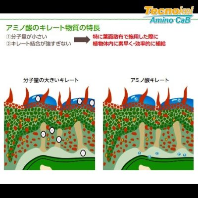 テクノケルアミノCaB|味の素