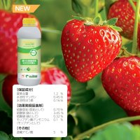 テクノケルアミノMix【1L/1.2kg】Tecnokel Amino Mix｜オールインワンの微量要素剤｜味の素｜バイオスティミュラント