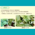 テクノケルアミノMix【1L/1.2kg】Tecnokel Amino Mix