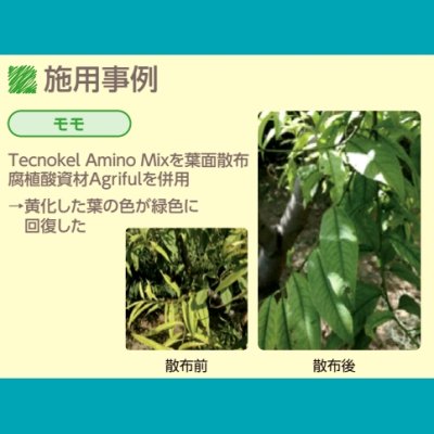テクノケルアミノMix【1L/1.2kg】Tecnokel Amino Mix