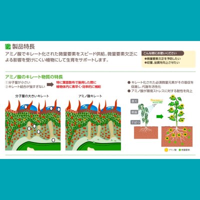 テクノケルアミノMix【1L/1.2kg】Tecnokel Amino Mix