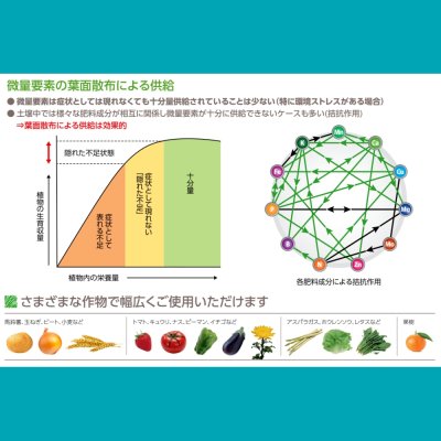 テクノケルアミノMix【1L/1.2kg】Tecnokel Amino Mix