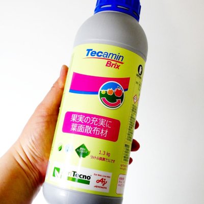 テカミンブリックスTecamin Brix|果実成熟期の糖度上昇に