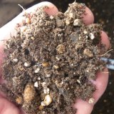 （無肥料）育苗ポット培土【40Lｘ10袋】エマタ製【陸送地域のみ】【個人名あて発送不可※個人様は営業所止め】