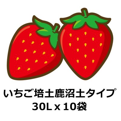 いちご培土 鹿沼土タイプ【30Lｘ10袋】初期肥料入り（無地袋）