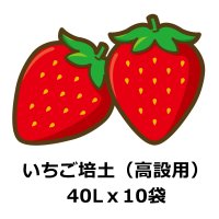 いちご培土（高設用）【40Lｘ10袋】肥料なし無地袋｜エマタ製【陸送地域のみ】【個人名あて発送不可※個人様は営業所止め】