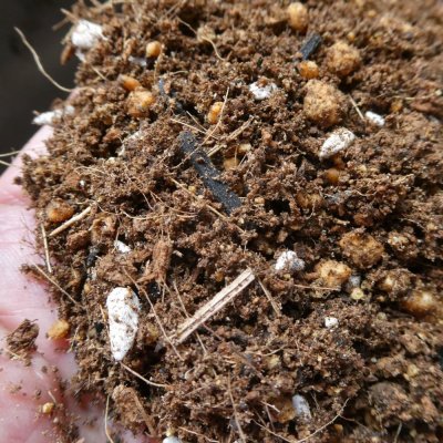 いちご培土(高設用)【40Lx10袋】肥料なし無地袋