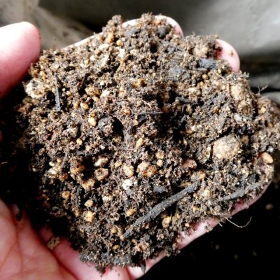 （無肥料）育苗ポット培土【40Lｘ10袋】