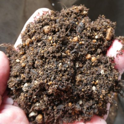 （無肥料）育苗ポット培土【40Lｘ10袋】