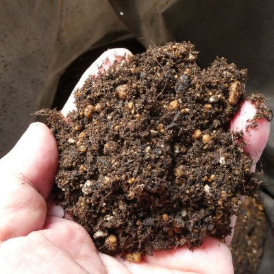 （無肥料）育苗ポット培土【40Lｘ10袋】