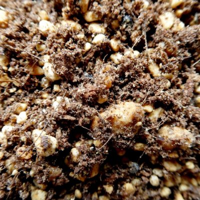 いちご培土 鹿沼土タイプ【30Lｘ10袋】初期肥料入り（無地袋）