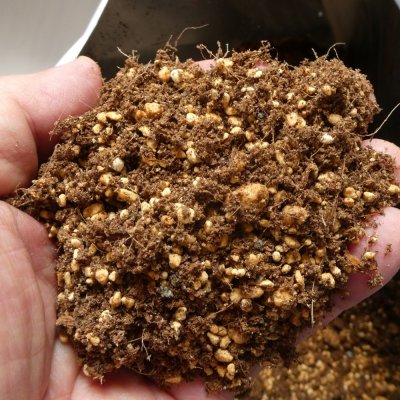 いちご培土 鹿沼土タイプ【30Lｘ10袋】初期肥料入り（無地袋）