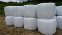 詳細写真1: サイレージ調製用高活性乳酸菌｜ニューバイオパワープラス【20kg（50トン用）】【A飼料】粉末タイプ