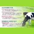 サイレージ調製用高活性乳酸菌｜ニューバイオパワープラス【20kg（50トン用）】