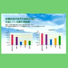 詳細写真3: サイレージ調製用高活性乳酸菌｜ニューバイオパワーS【50g（10トン用）ｘ5袋】【A飼料】水溶性タイプ【いくつでも全国一律送料530円】
