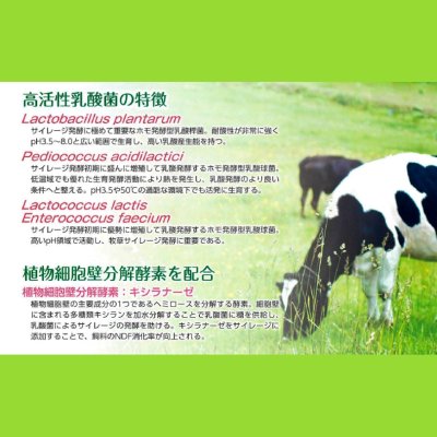 サイレージ調製用高活性乳酸菌｜ニューバイオパワーS【50g（10トン用）】