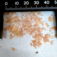 詳細写真1: 昆虫資材-ミルワーム用ふすま【1kg】昆虫用エサ、昆虫マット添加剤