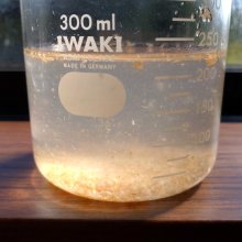 詳細写真2: 昆虫資材-ミルワーム用ふすま【1kg】昆虫用エサ、昆虫マット添加剤