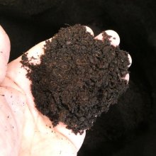 詳細写真1: サカタスーパーミックスA【40L】黒ピート配合の培養土｜初期肥料入り（家庭菜園、プロ農家用）