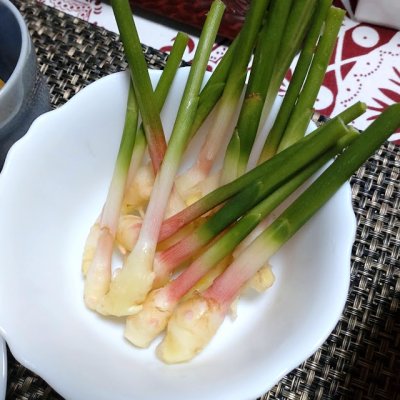 三州ショウガ｜タネしょうが（小生姜）【500g】千葉県産種生姜