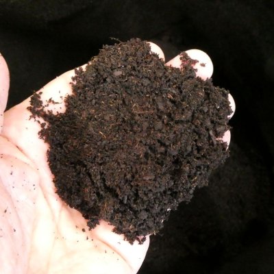 ブラックピート培土【2kg】黒ピート配合の培養土｜初期肥料入り（家庭菜園、プロ農家用）