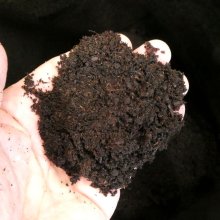詳細写真1: ブラックピート培土【2kg】黒ピート配合の培養土｜初期肥料入り（家庭菜園、プロ農家用）