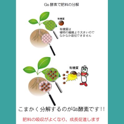 有機JAS活性液｜Gs酵素