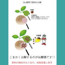 詳細写真1: 有機JAS活性液｜Gs酵素【10L・20L】【送料無料】糖、カルシウム、亜鉛パワーの酵素液で植物元気