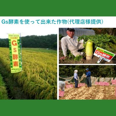 有機JAS活性液｜Gs酵素