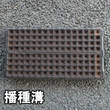 詳細写真2: コカピー【200穴】(10枚入り)｜カネコ種苗オリジナル固化培土｜苗の生産効率が向上！特殊製法で固めたプラグ用土